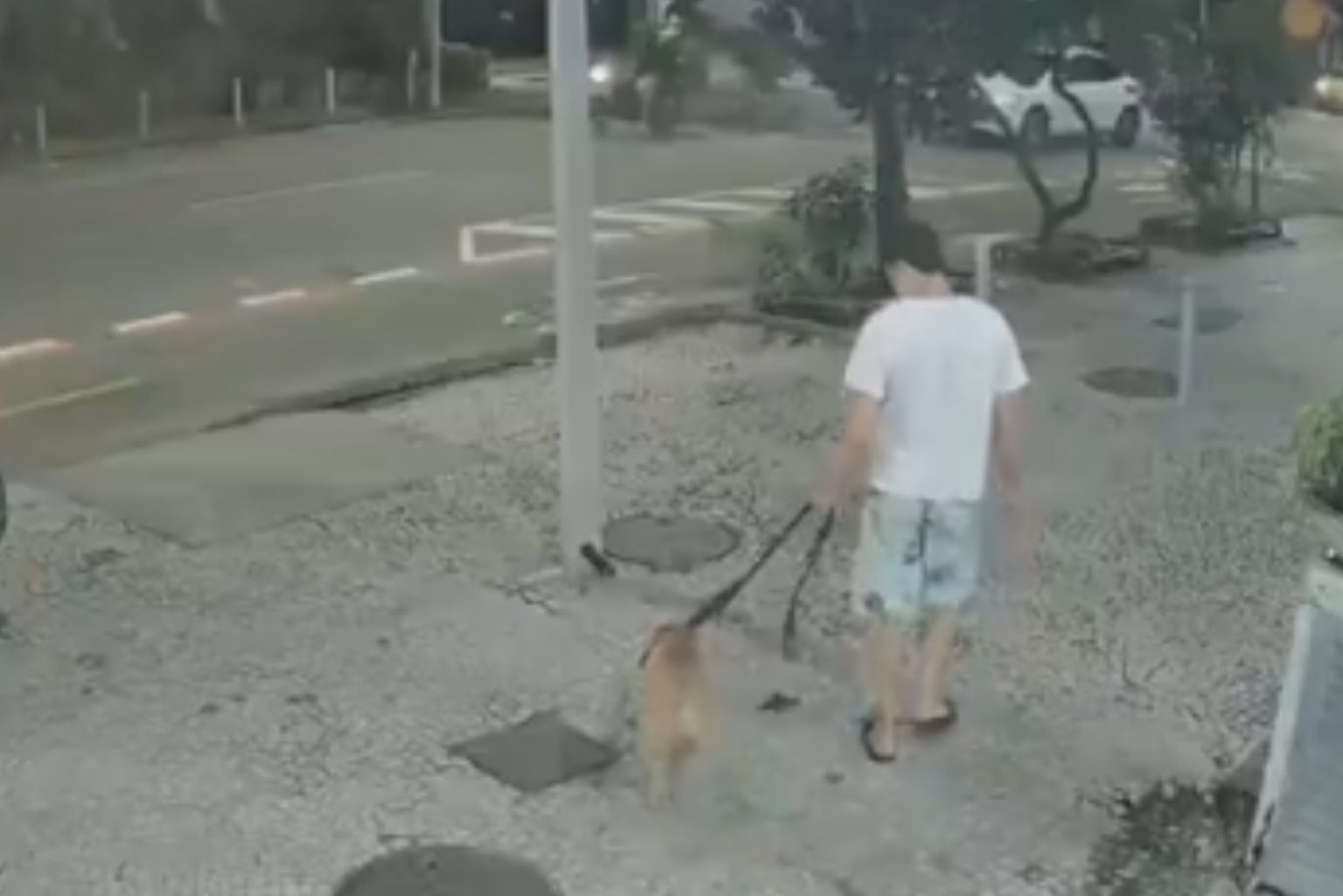 &Quot;A Pessoa Em Quem Ele Mais Confiava&Quot;: Caso De Cão Afogado Por Tutor No Rj Chocou Delegado
