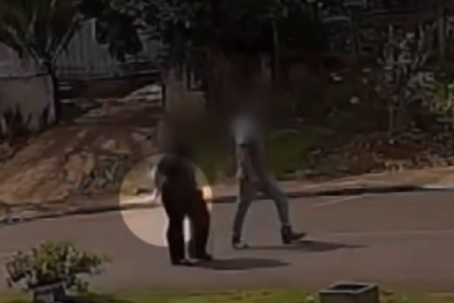 Após fazer sinal de socorro, mulher é salva de agressor no Paraná Após Fazer Sinal De Socorro, Mulher É Salva De Agressor No Paraná