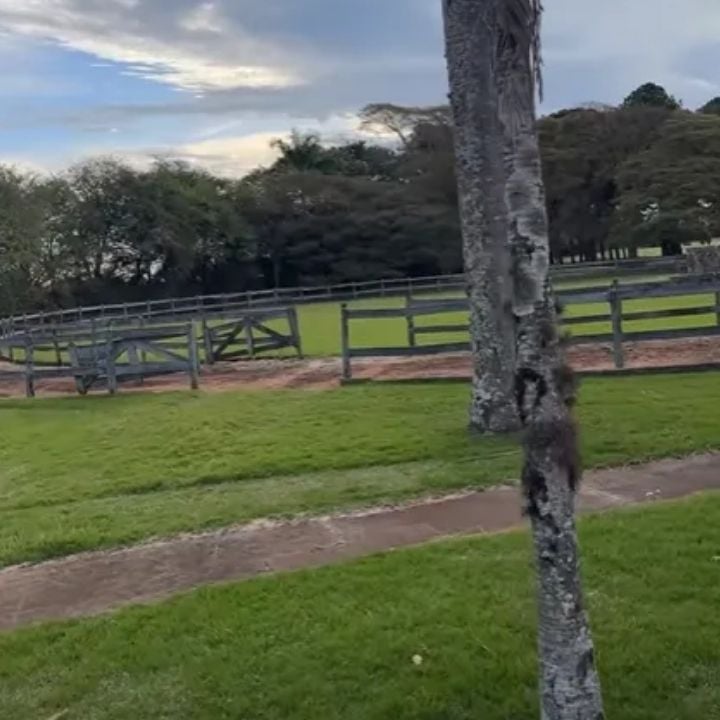 Fazenda Boiadeira