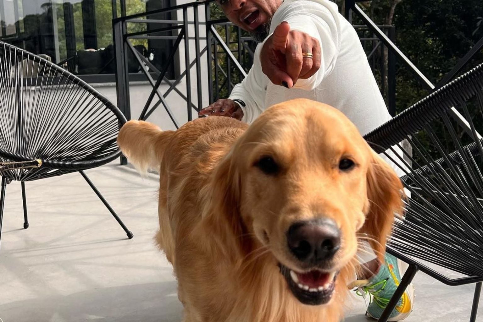 Cercada Pela Natureza, Mansão De Cantor Tem Vista Privilegiada E Refúgio Exclusivo Para Os Pets De Estimação