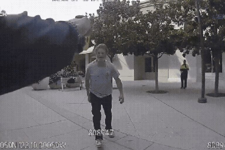 Homem É Atingido Por Arma De Taser Durante Abordagem, Cai No Chão E Quebra O Pescoço